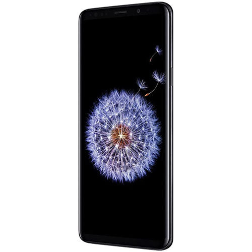 Samsung Galaxy S9+ store 64 GB Mint Condition